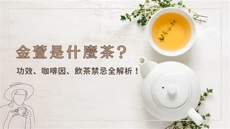 什麼萱|金萱是什麼茶？金萱烏龍茶風味功效、冷熱泡法、挑選。